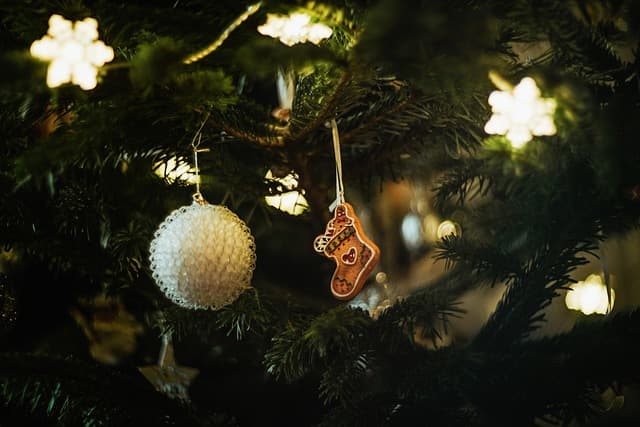 Guida alle Decorazioni Natalizie Fai-da-Te