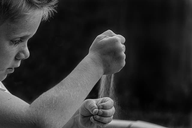Guide d'achat sur les manteaux à fermetures simplifiées
